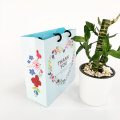 Wholesale Custom Luxury Paper Gift Bags With Handles